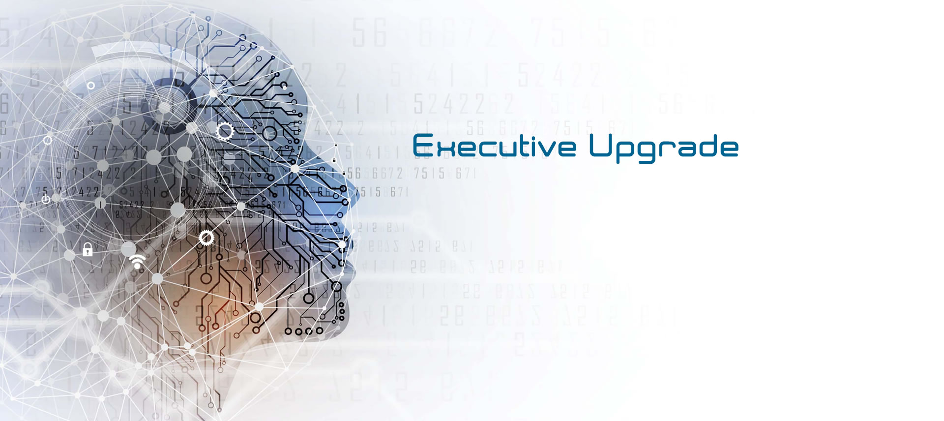 executive-upgrade-banner-3